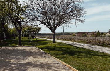 Maison de Pauline, Chablis Vineyard - Foto 35