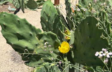 Urban Luxe Retreat l King Bed l Kitchenette - Photo 38