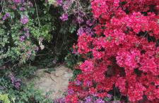 Tout près de la plage - Foto 42