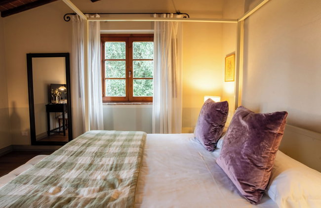 Tenuta Sant'Ilario - Photo 31