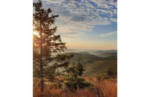 Holiday home with 8 bedrooms - Foto 40