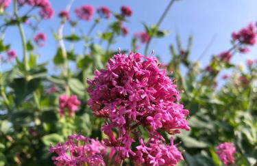 Modern Beach House overlooking the Sea - Foto 47