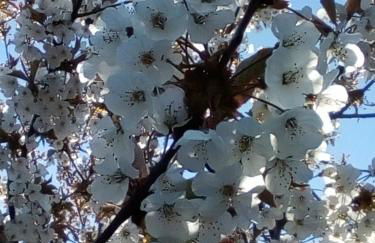 Ferienwohnung Milow - Foto 33