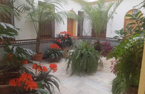 La casa de Tachi - Foto 17