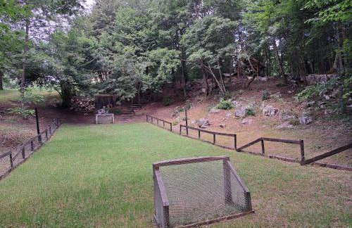 Guest house Mihovil - Foto 29