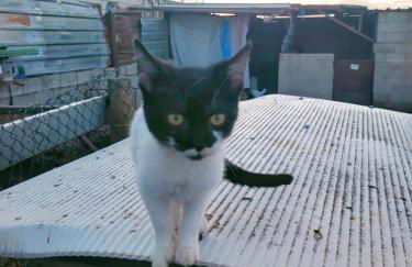 Casa Rural Abuela Simona - Foto 9