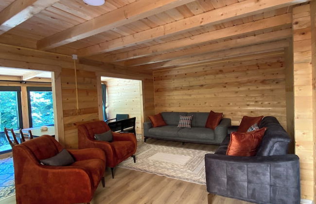 King Cabins - Photo 1