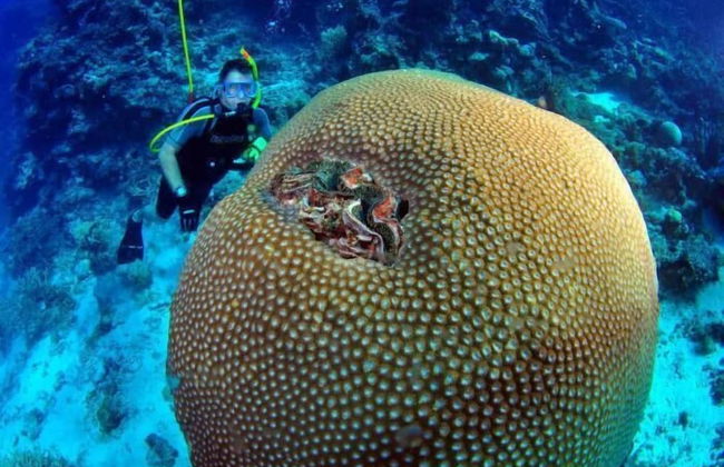 The Beach Place - Foto 38