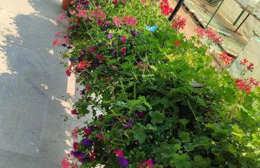 Apartman "SaraP" Metković - Foto 44