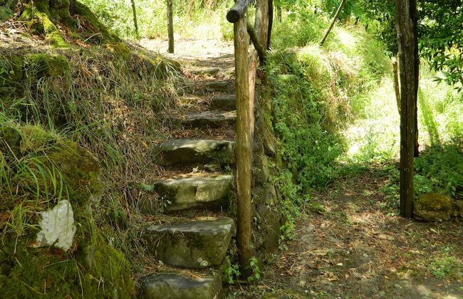 Gli Ulivi Agriturismo - Foto 73