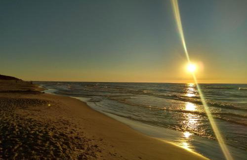 Diament Rogowo - Foto 18