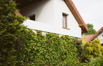 Agroturystyka u Miłosza - Foto 33