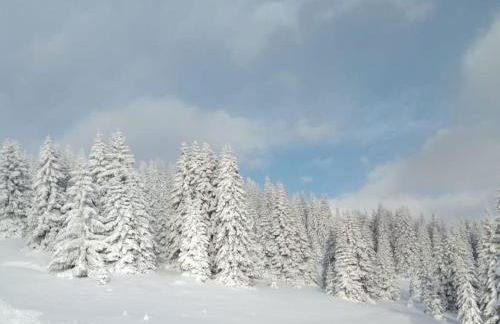 Appartamento l’ Aier - Arabba - Dolomiti - Foto 16