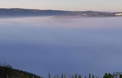 Apartment an der Mosel 1 - Foto 48