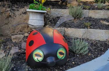 The Castle of Dreams - Foto 16