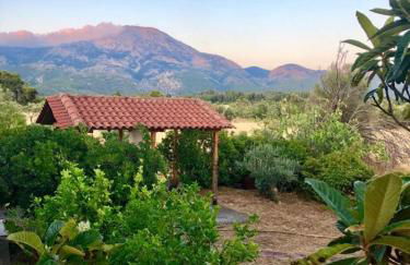 Villa Vasiliki - Foto 31