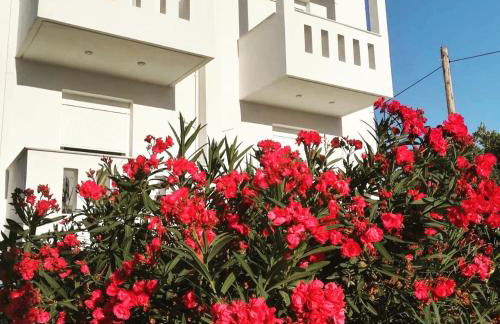 Goldfish Seaside Luxury Houses - Photo 40