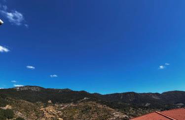 MetsoVillas στο κέντρο του Μετσόβου - Photo 27