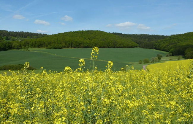 Am Rosengarten Comfortable Holiday Residence - Foto 15