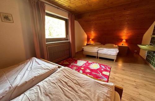 Private Spacious Villa near Winterberg and Willingen 14 Guests HUGE GARDEN Free Parking for Multiple Cars - Foto 18