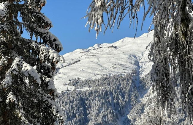 Family Stay in Aletsch Alps - Foto 34