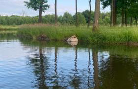 Komfortowy domek z kominkiem - Foto 6