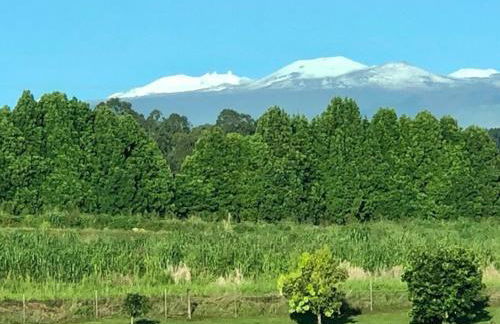 Royal Palm Cottage Hawaii - Foto 26