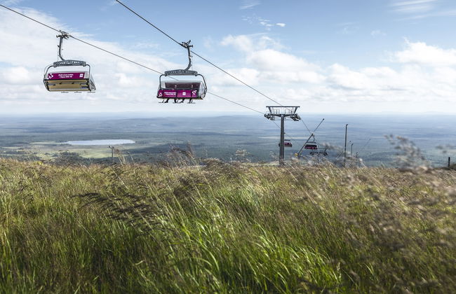 Ski-Inn PyhäSuites - Foto 54