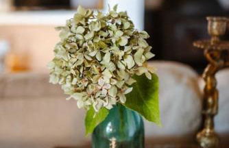 LOS TILOS Casa rural en el campo. - Photo 76