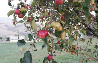 Agriturismo Collomici - Foto 27