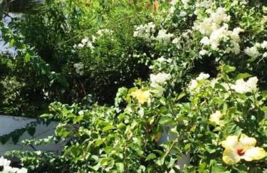 Casa Augusta - Foto 6