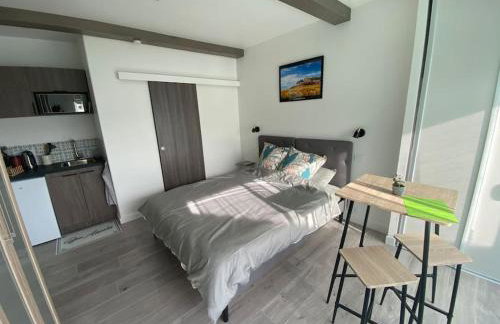 Beau studio neuf et équipé - Foto 7