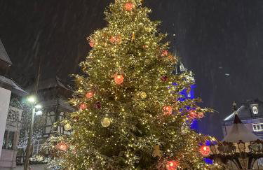 L'écrin d'Anne et Stéphane - vue sur Strasbourg - Foto 60