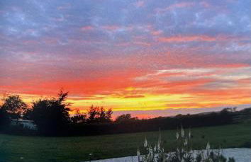 Bluebell Farm - Foto 55