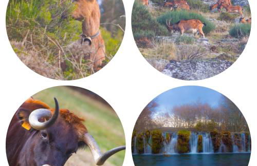 Getaway Home - Foto 61