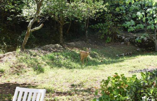 Apartman Peršić - Foto 65