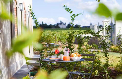 La Maison des Vignes - Domaine de la Soucherie - Foto 8