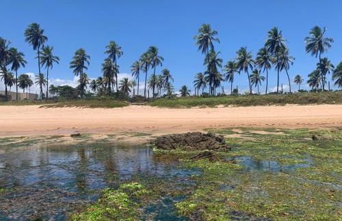 Apartamento 1 Q Vista Mar Salvador - Bahia - Photo 78