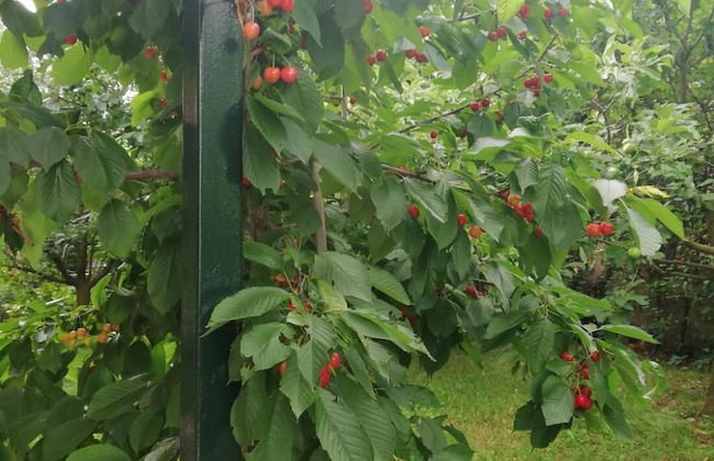 Vacation House Dunja - Foto 28