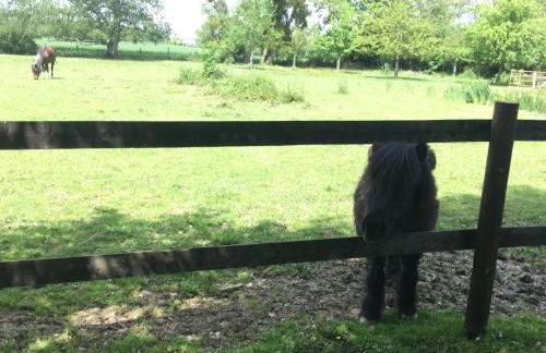 Bungalow 2 pièces, SDB, terrasse, Piscine de mai à octobre - Foto 12