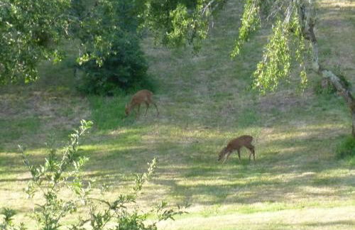 Tour Rouge Gites - Foto 17