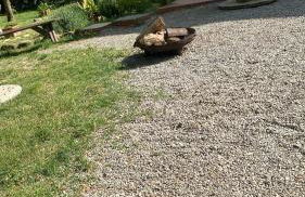 La casa dell’ edera - Foto 11