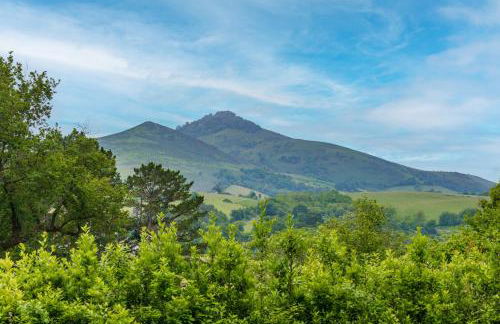 Bordazaharria - Foto 30