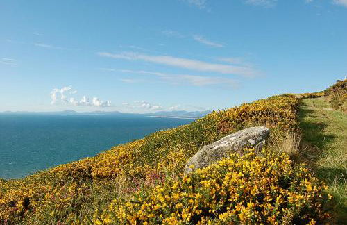 Salt Marsh Apartment - Foto 36