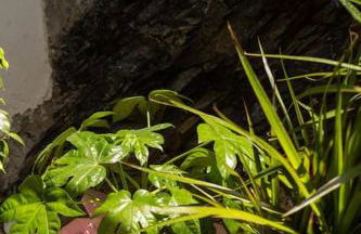 Ioannis Rooms Δωμάτια με θεα στη θαλασσα - Foto 20