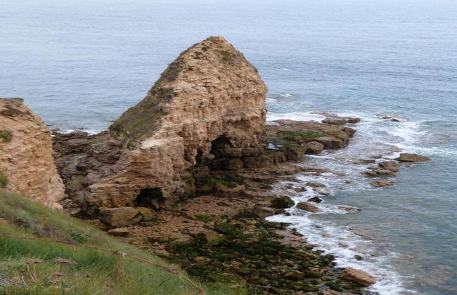 Golden Light Cottage Escape - Foto 38