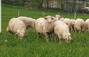 Luksusowe Domki Elizy Luxury Chalets Poronin - Foto 51