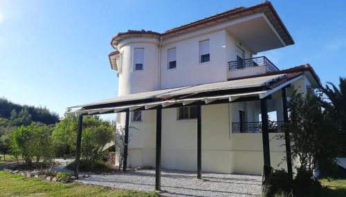 Bright New Garden - Photo 3