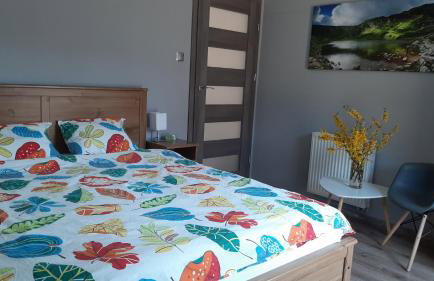 Dom uKromki z kominkiem i widokiem na Śnieżkę - Foto 8