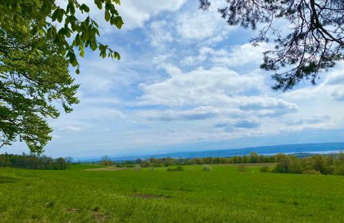 Ferienwohnung Schwalbennest - Photo 11